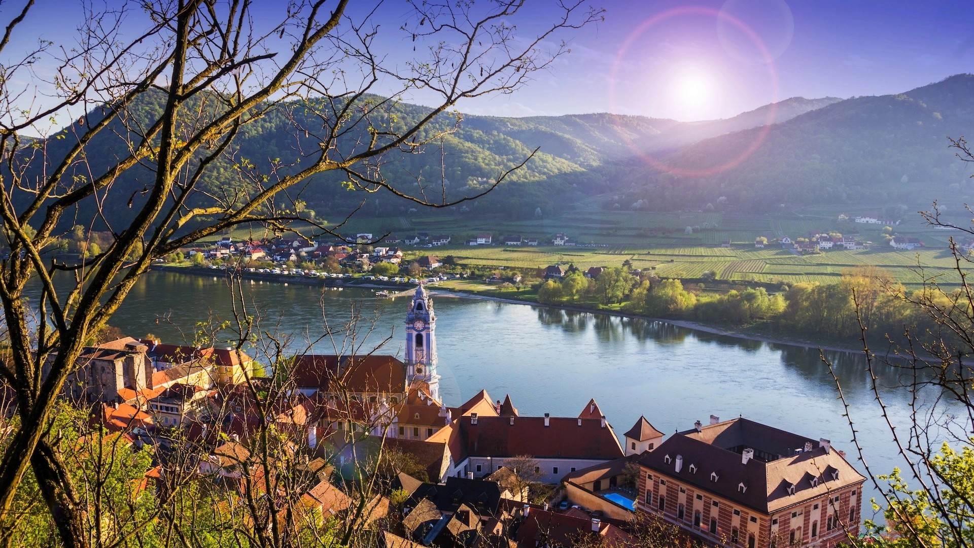 Oostenrijkse wijngaarden langs de Donau Wijngaarden langs de Donau in de Oostenrijk, symbool voor traditie en de elegante Grüner Veltliner en Riesling