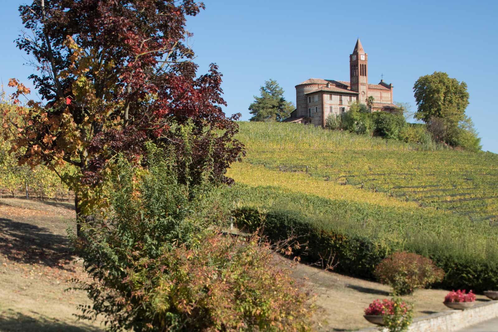 Wijngaarden en kerkje op de heuvel in La Morra, Langhe, Italie