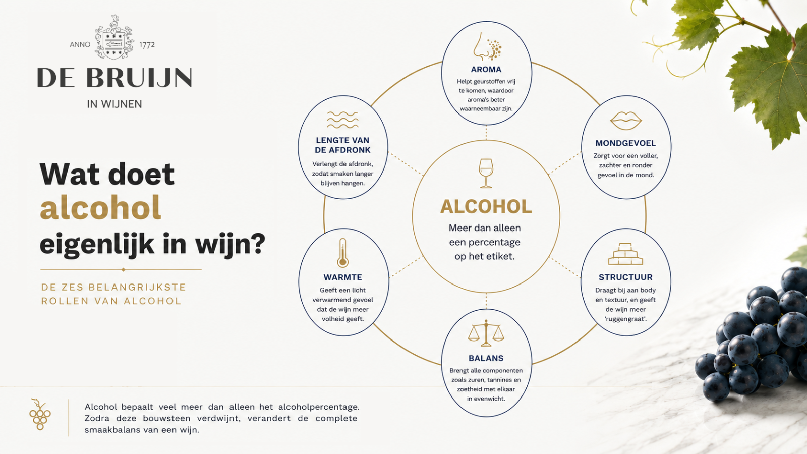 Infographic die laat zien welke invloed alcohol heeft op aroma, mondgevoel, structuur, balans, warmte en de lengte van de afdronk in wijn