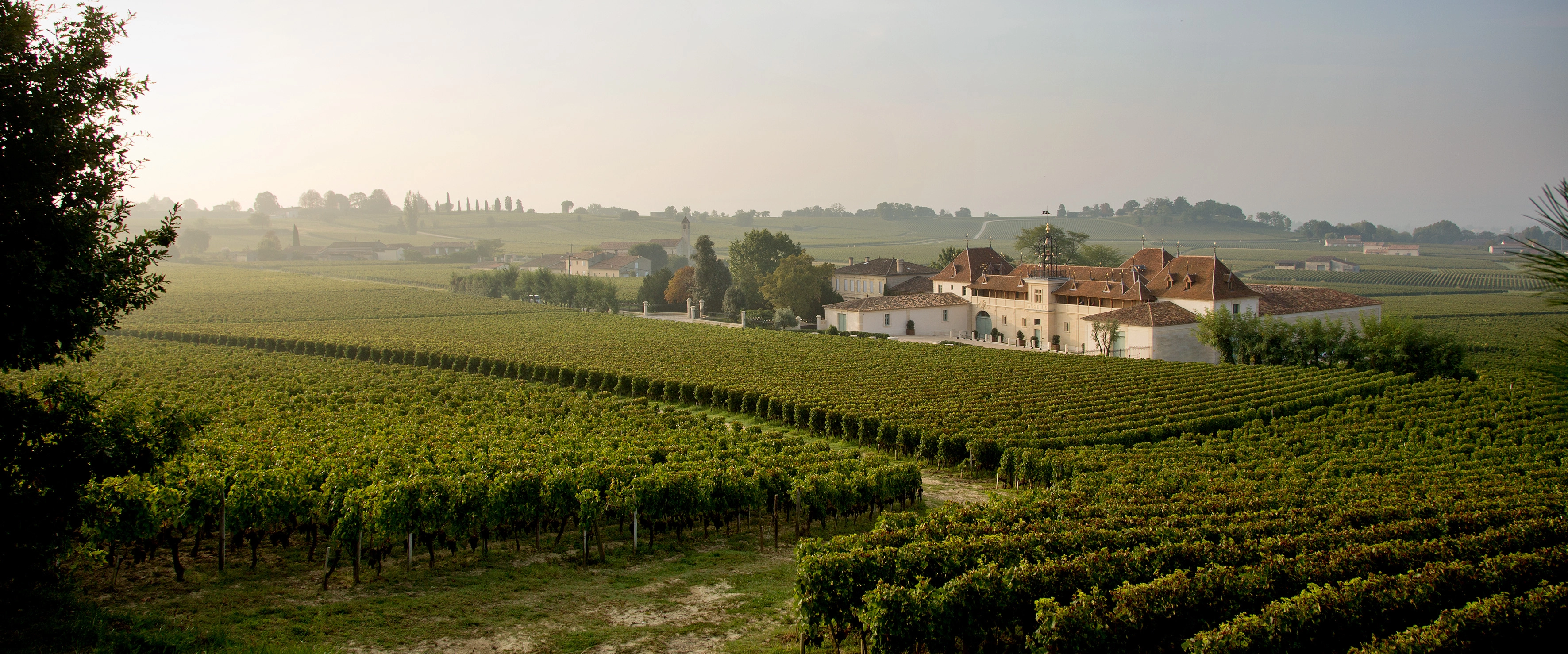 Château Angélus 2024