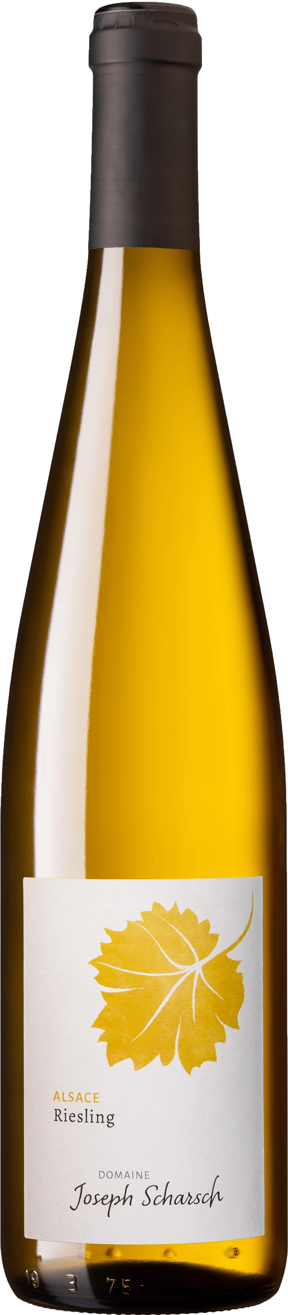 Domaine Joseph Scharsch, Riesling Domaine Joseph Scharsch, Riesling