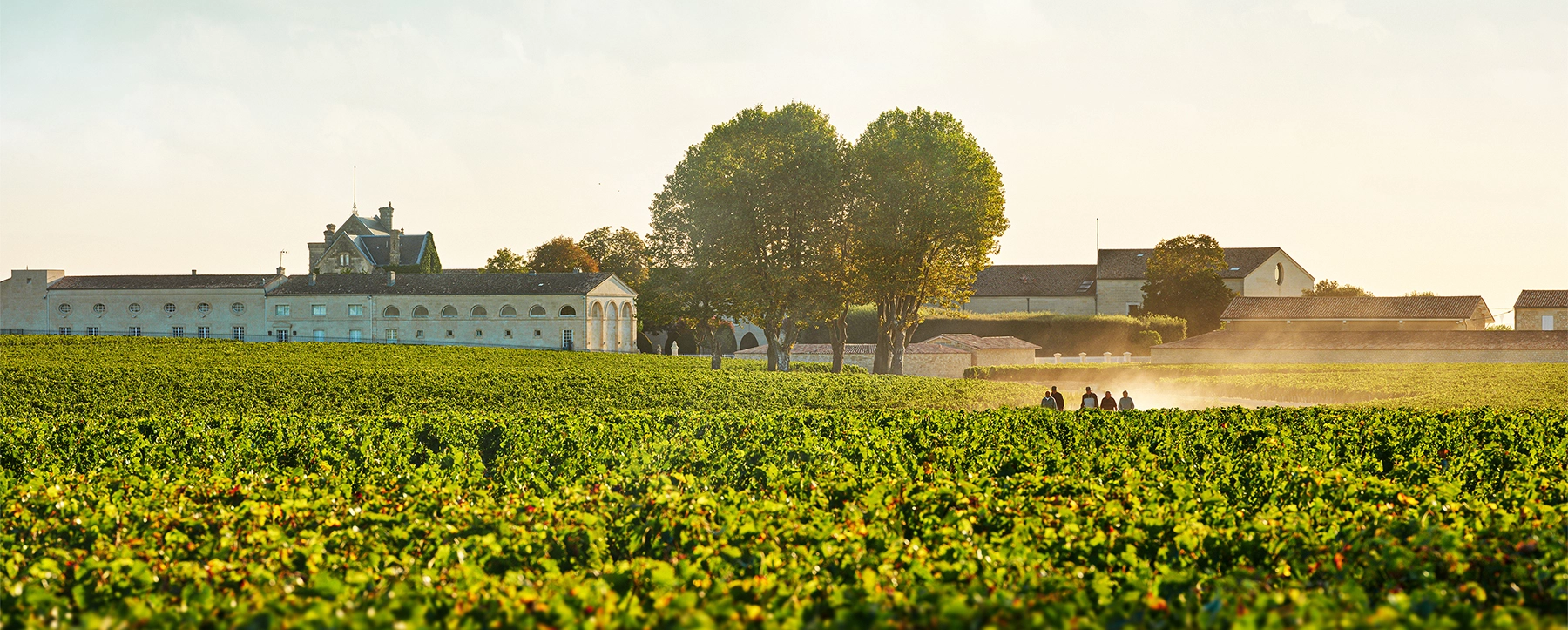Château Mouton Rothschild 2024 en meer