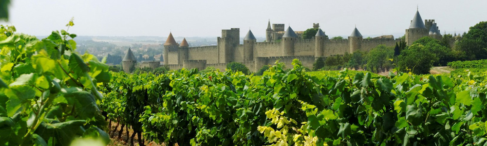 Wijngaard met oud kasteel van Les Domaines Montariol Degroote
