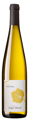 Domaine Joseph Scharsch, Pinot Blanc