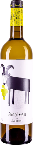 Loxarel, Amaltea Blanco