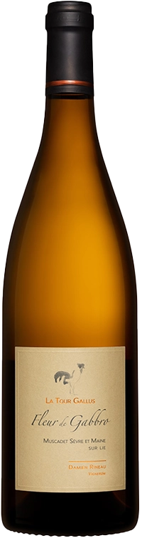 La Tour Gallus, Muscadet Sur Lie Fleur de Gabbro