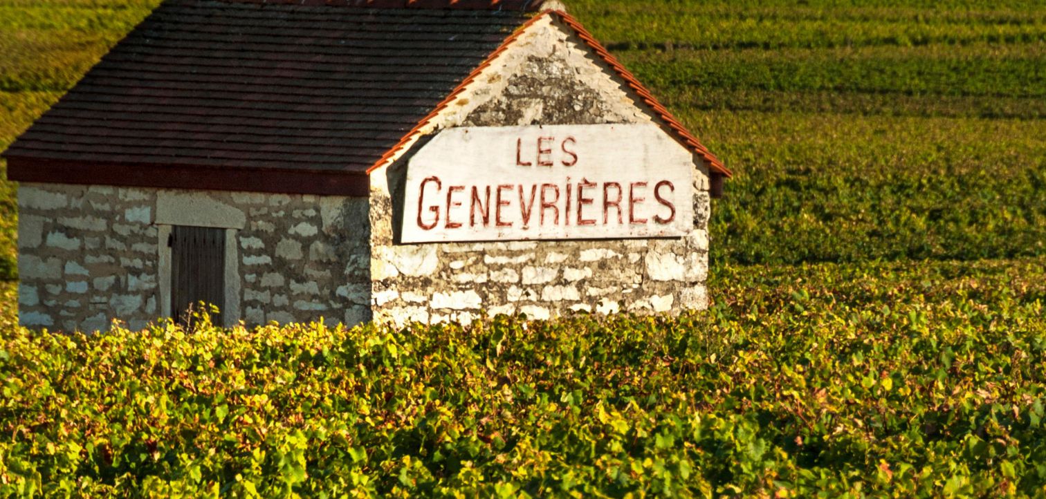 Domaine des Comtes Lafon En Primeur 2022