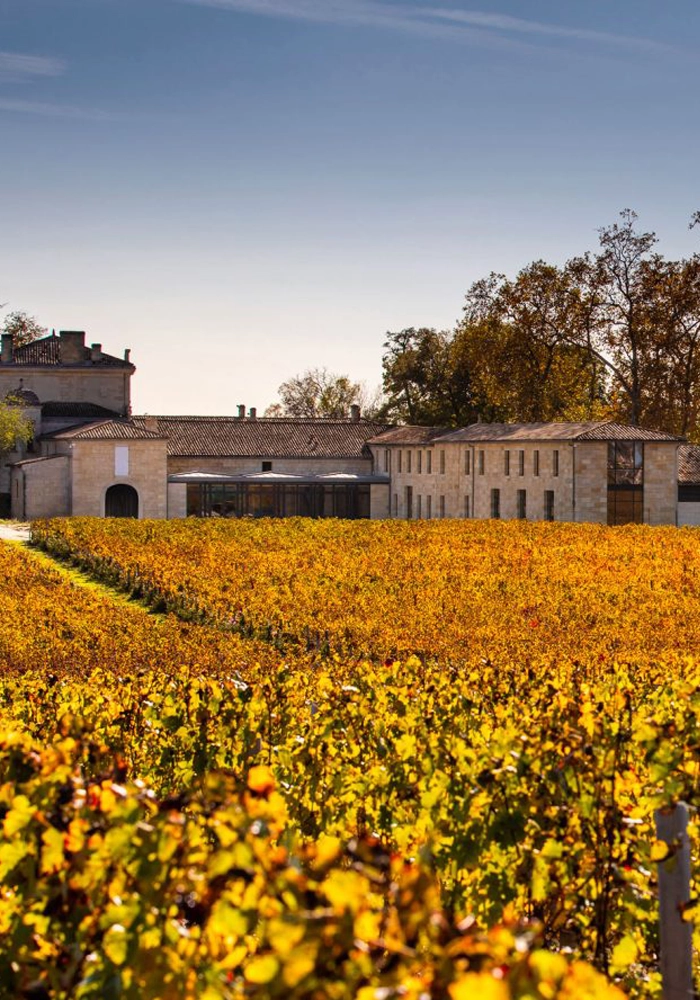 Chateau Figeac in de wijngaard in herfstkleuren