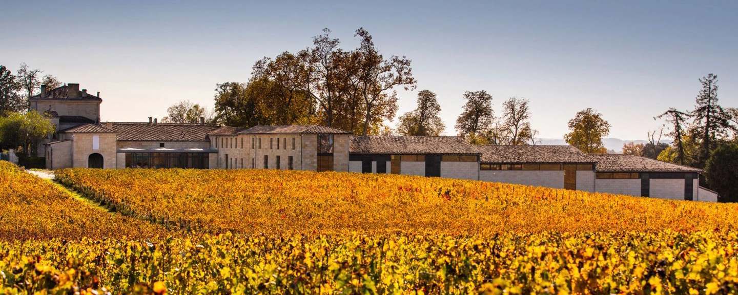 Chateau Figeac in de wijngaard in herfstkleuren