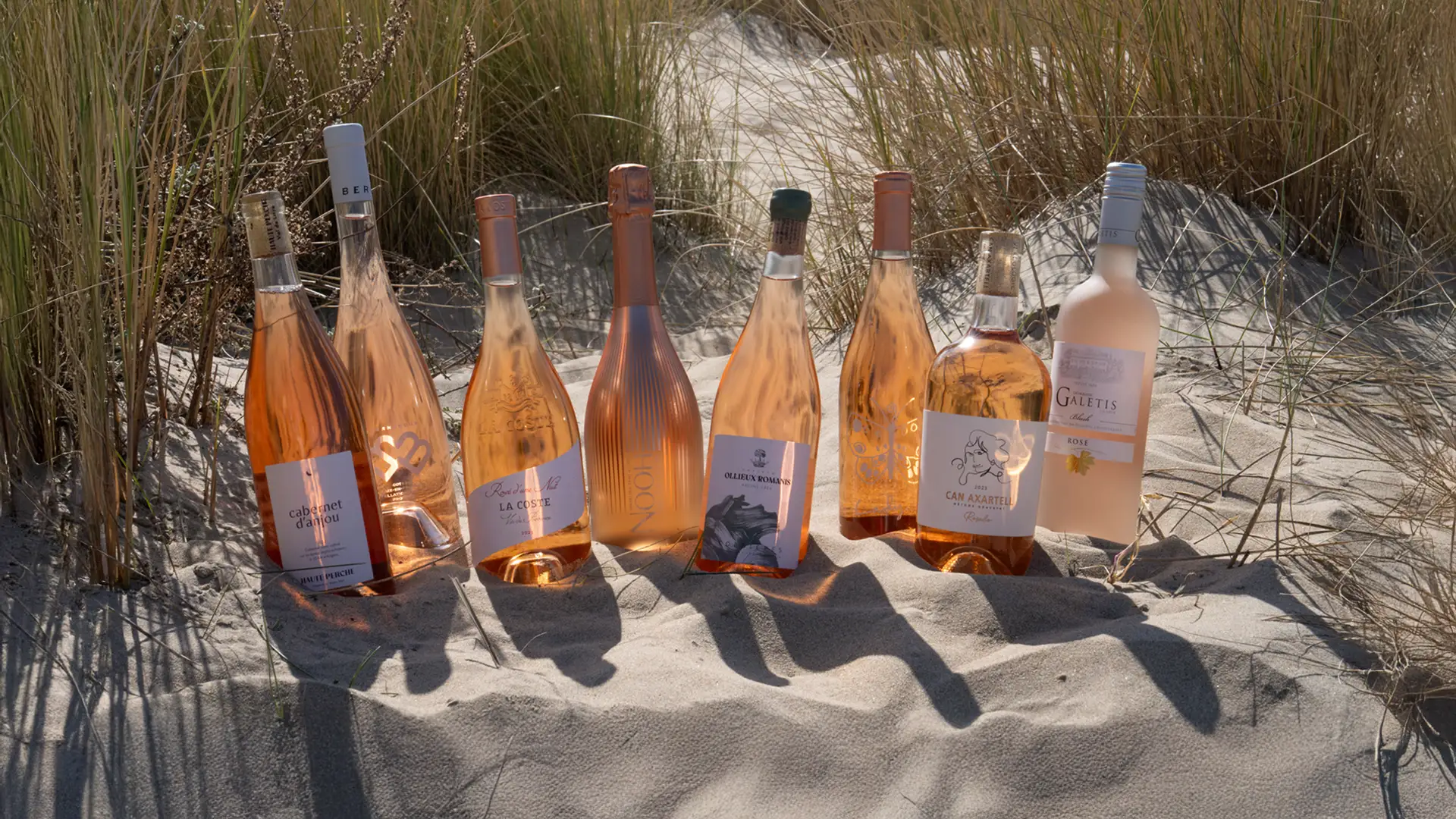 Selectie roséwijnen van De Bruijn in Wijnen, sfeervol gefotografeerd in het zand met zomerse uitstraling