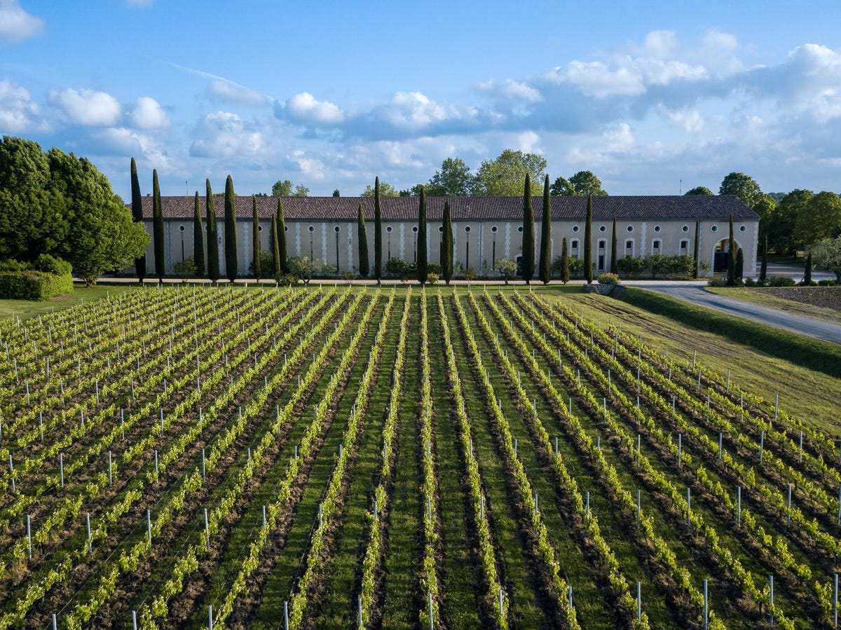 Chateau Clarke in Listrac met wijngaarden voor het kasteel