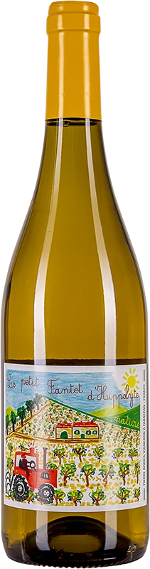 Château Ollieux Romanis, Petit Fantet d'Hippolyte Blanc