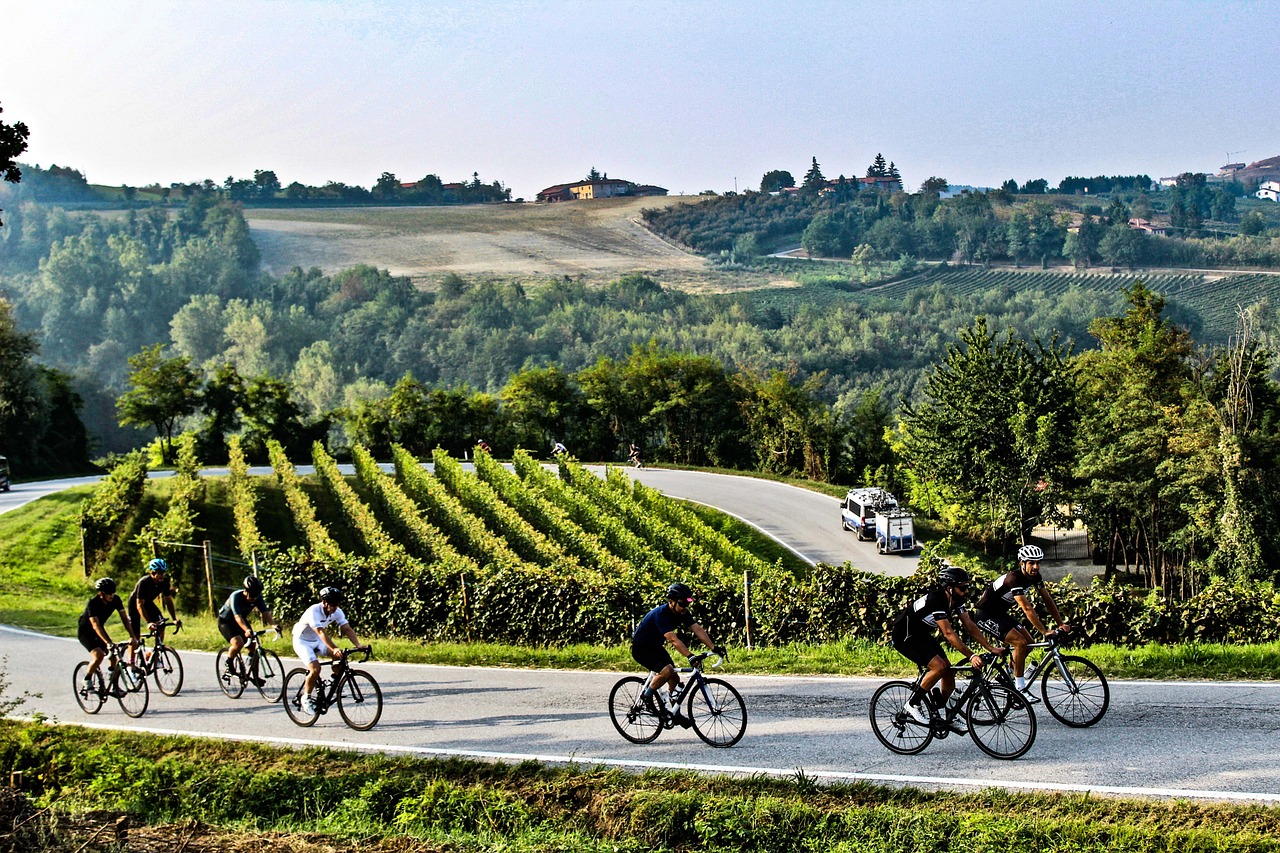 200 km door de wijngaarden van Bordeaux