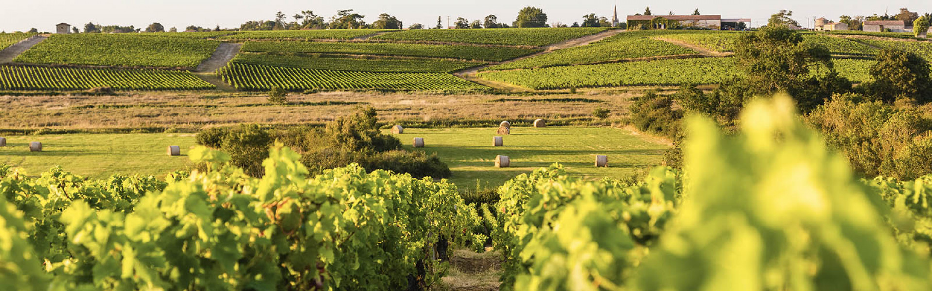 Château Lynch-Bages & Château Ormes de Pez 2024
