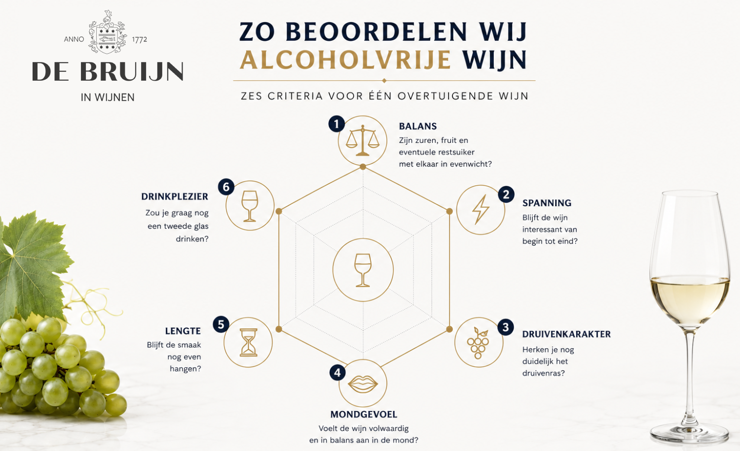 Infographic met de zes kwaliteitscriteria waarop De Bruijn in Wijnen alcoholvrije wijn beoordeelt: balans, spanning, druivenkarakter, mondgevoel, lengte en drinkplezier.